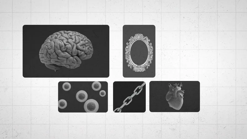 O que é Naturopatia? - Dr. João Vaz · frame 2