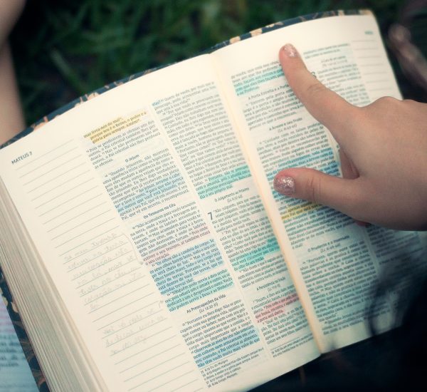 ULB_PlantioIgrejas_Reel1_Corte1-Simplified.00_00_31_11.Still011